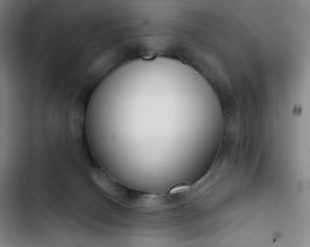 X0000102850082200808251212