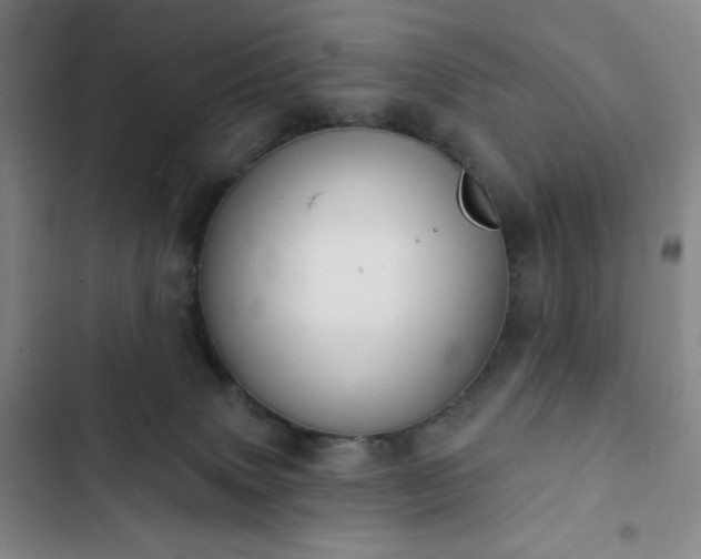 X0000102850083200808251212