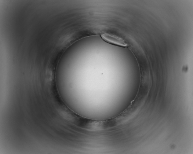 X0000102850084200808251212