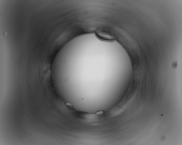X0000102850085200808251212