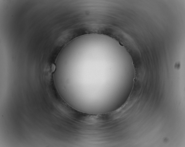 X0000102850086200808251212