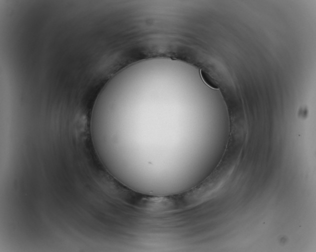 X0000102850087200808251212