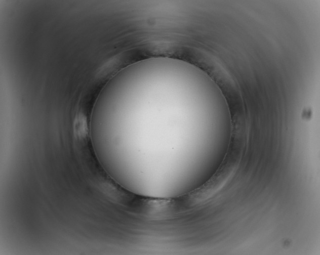 X0000102850089200808251212