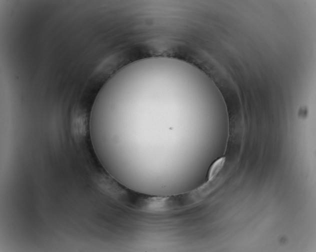 X0000102850090200808251212