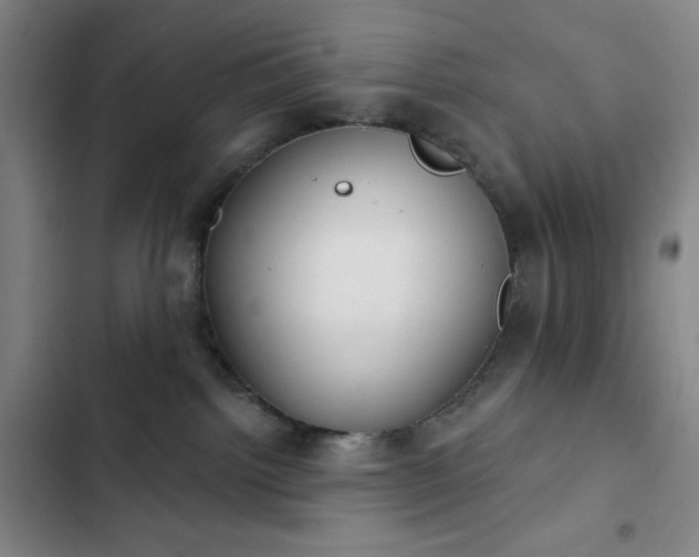 X0000102850092200808251212