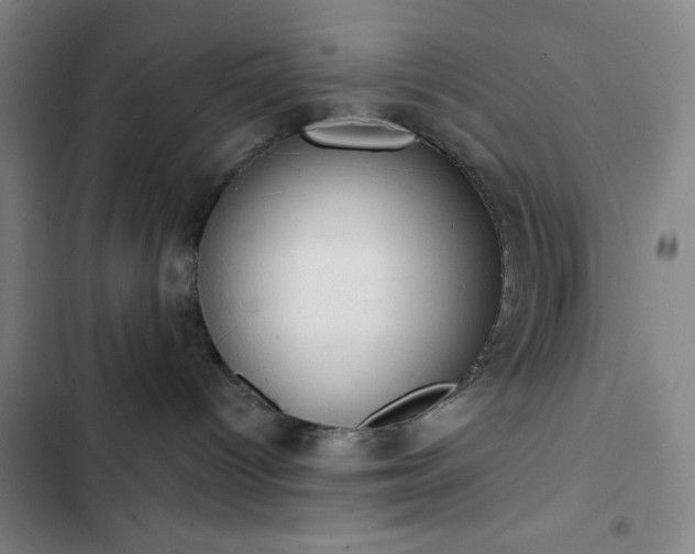 X0000102850096200808251213