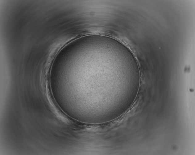 X0000102850097200808251212