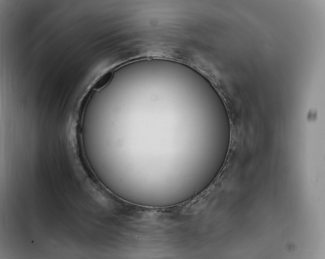 X0000102850098200808251212