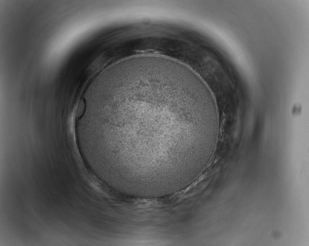 X0000102850099200808251212