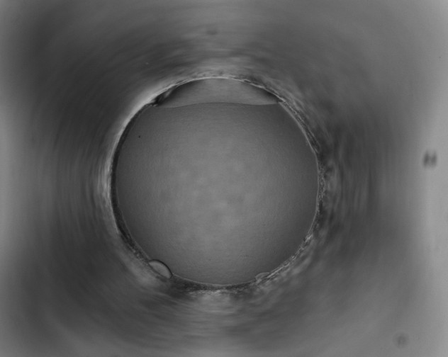 X0000102850100200808251212