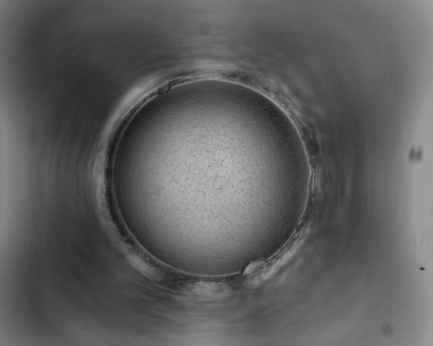 X0000102850101200808251212