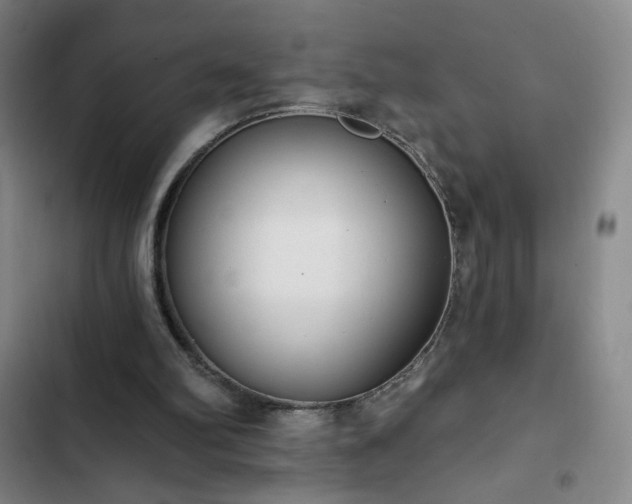 X0000102850102200808251212