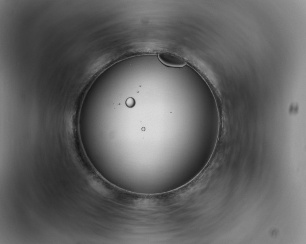 X0000102850105200808251212