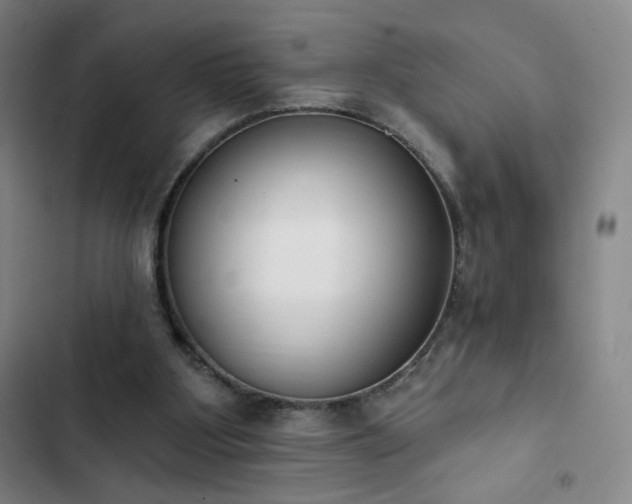 X0000102850107200808251212