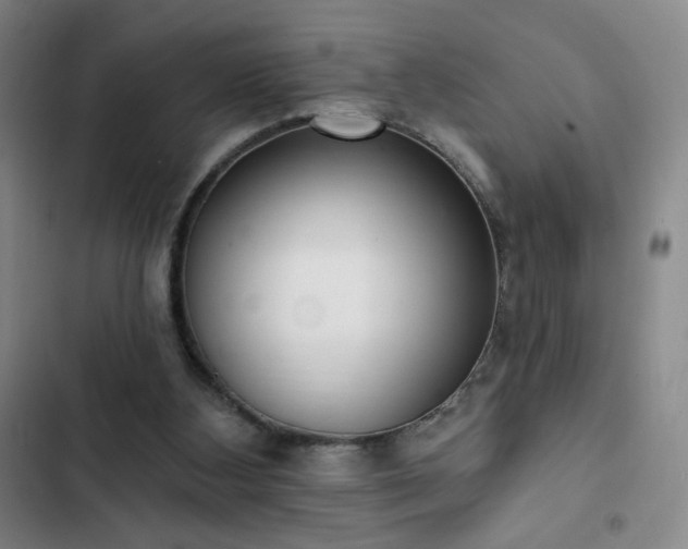 X0000102850108200808251212