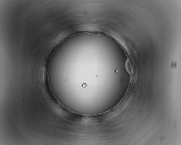 X0000102850109200808251212