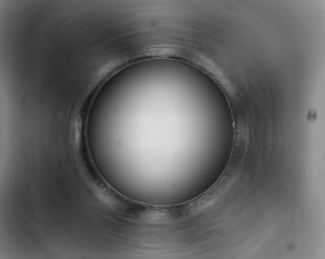 X0000102850110200808251212
