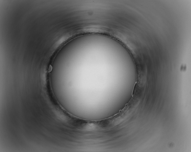 X0000102850111200808251212