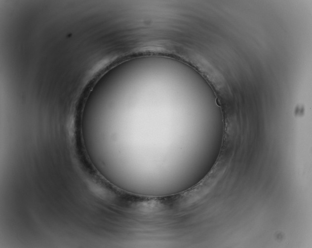 X0000102850112200808251212