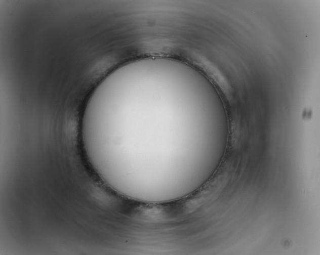 X0000102850113200808251212