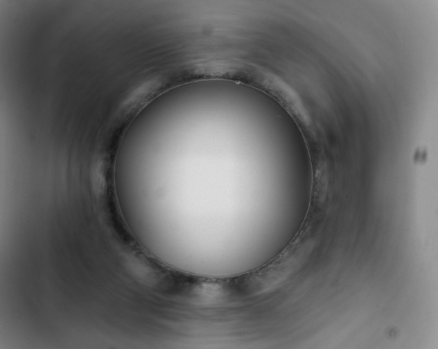 X0000102850114200808251212