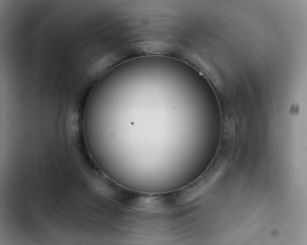 X0000102850117200808251212