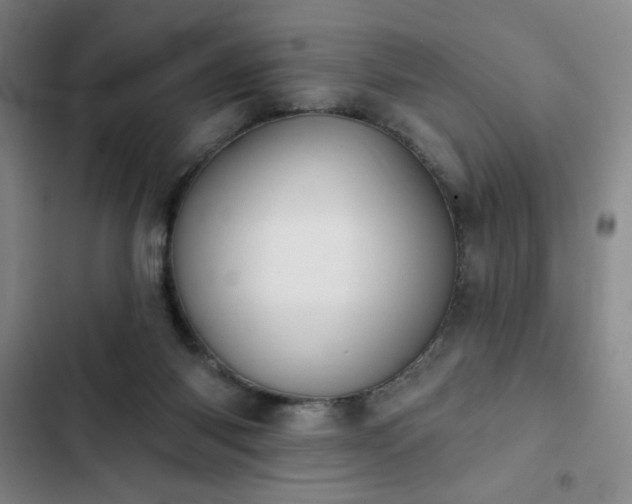 X0000102850118200808251212