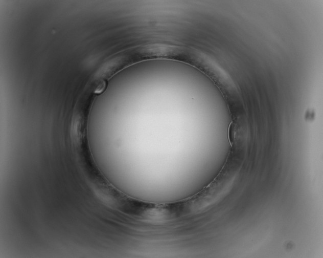 X0000102850119200808251212