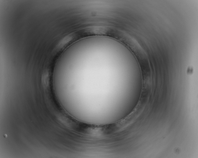 X0000102850120200808251212