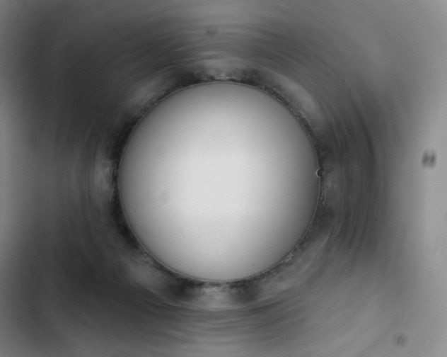 X0000102850121200808251211