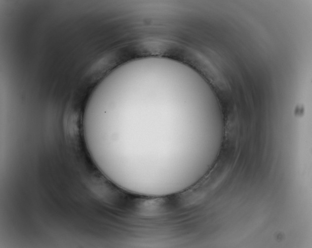 X0000102850122200808251211