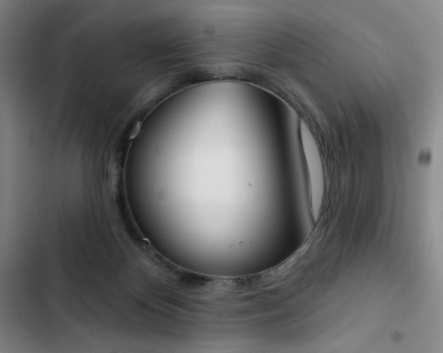 X0000102850124200808251211