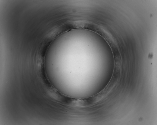 X0000102850125200808251211