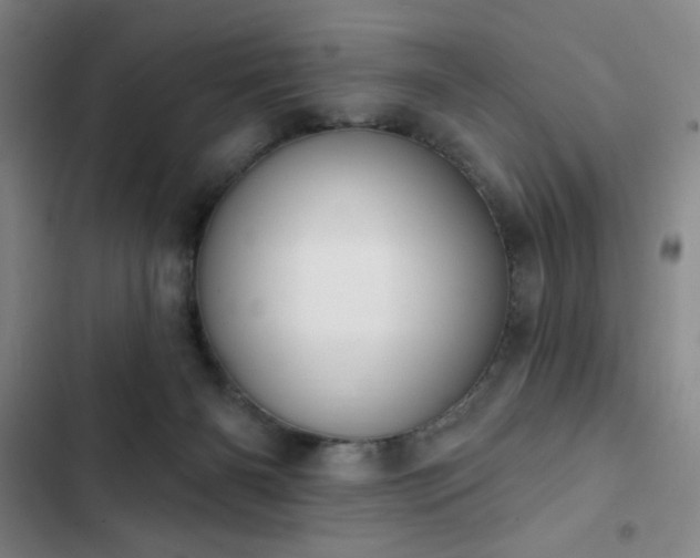 X0000102850126200808251211