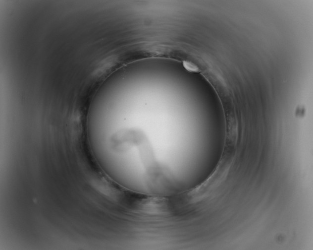 X0000102850128200808251211