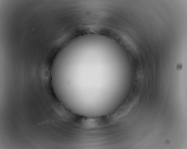 X0000102850129200808251211