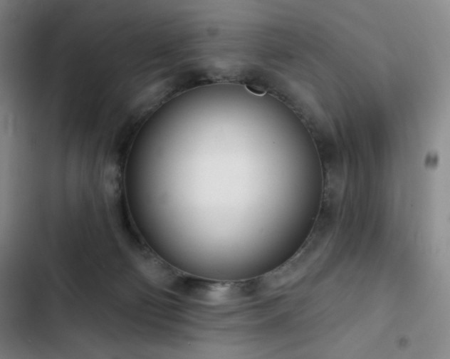 X0000102850130200808251211