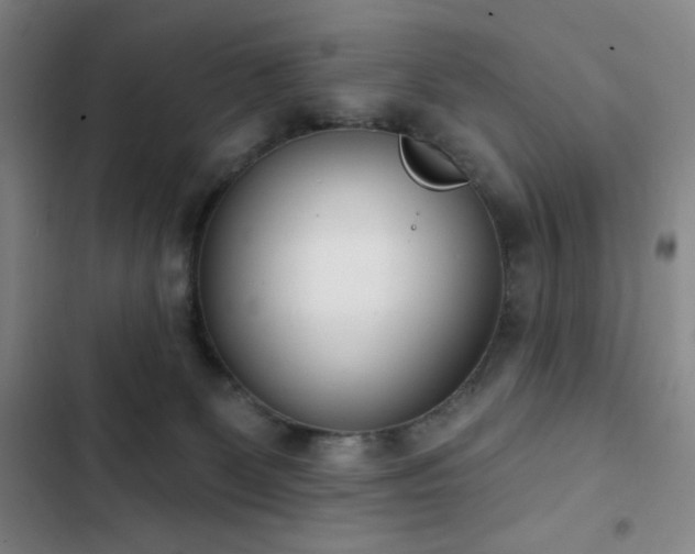 X0000102850131200808251211
