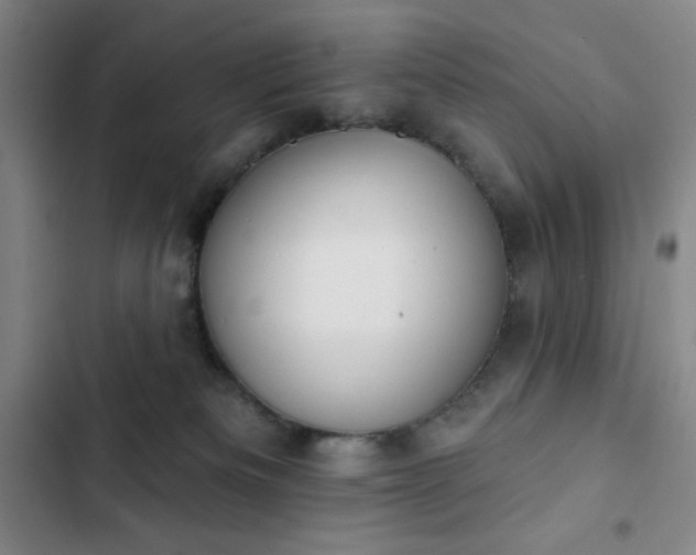 X0000102850133200808251211