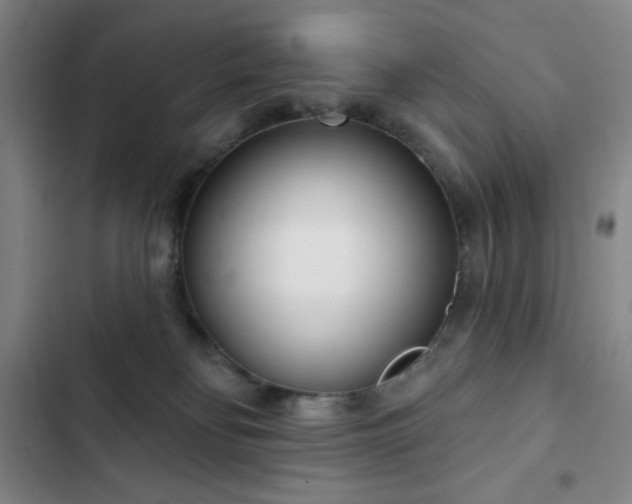 X0000102850134200808251211