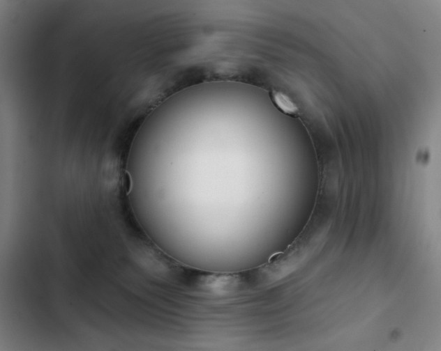 X0000102850135200808251211