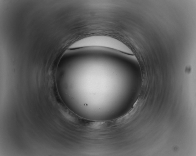 X0000102850136200808251211