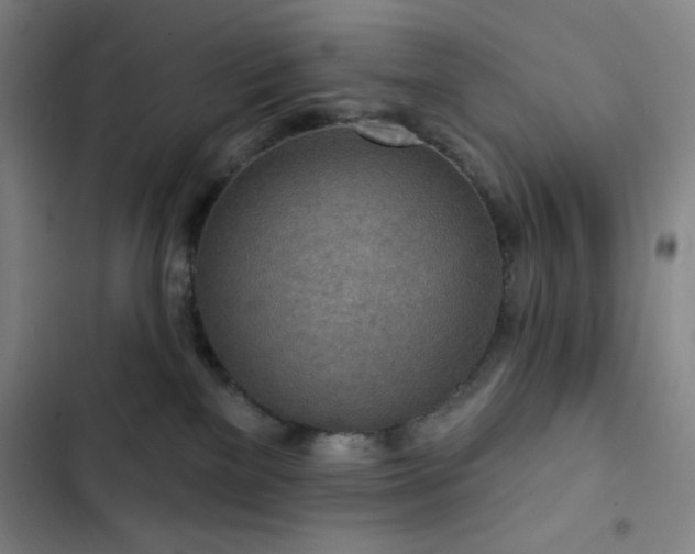 X0000102850137200808251211