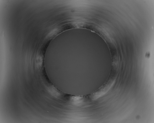 X0000102850139200808251211