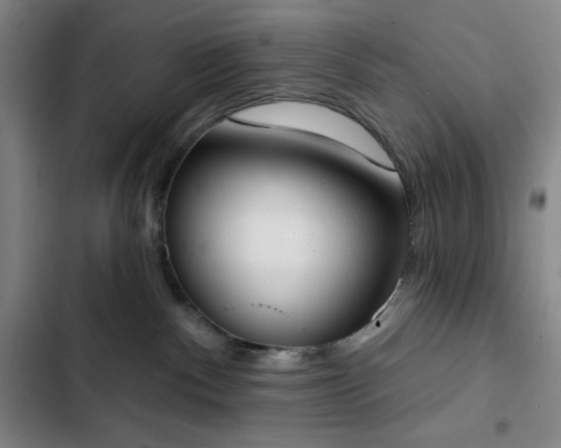 X0000102850140200808251211