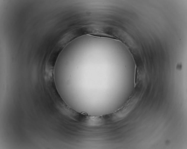 X0000102850141200808251211