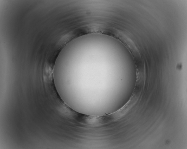 X0000102850142200808251211