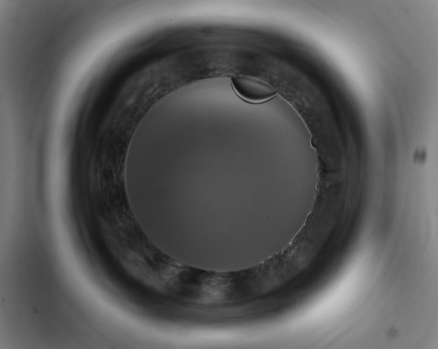 X0000102850143200808251211