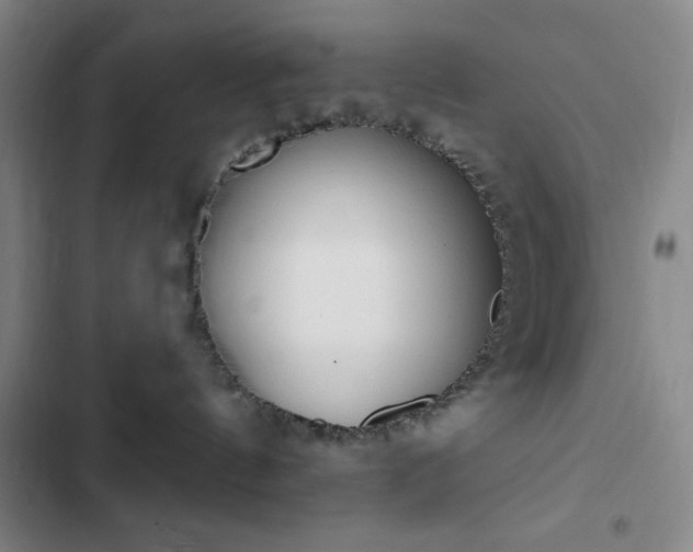 X0000102850144200808251211