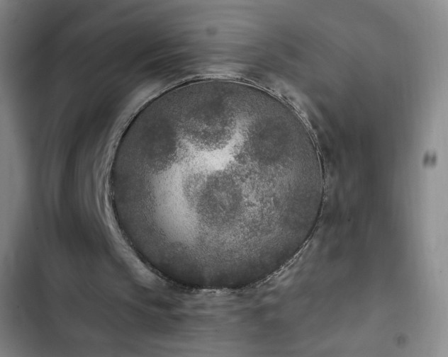 X0000102850145200808251210